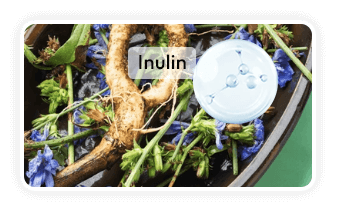 Trimology Weight™ Chicory Root Inulin ingredient